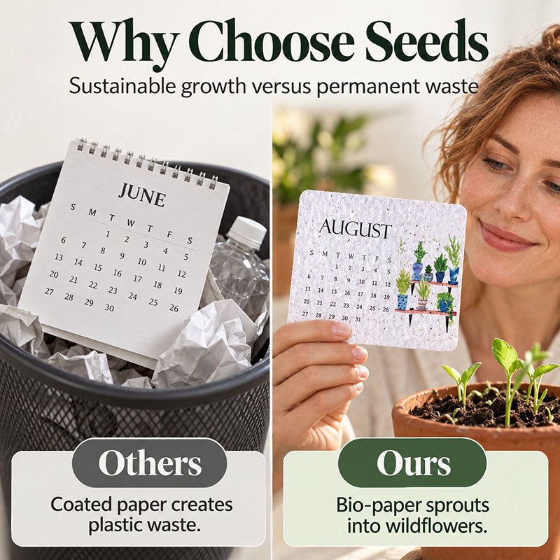 🌱 2027 Plantable Desk Calendar — A Little Art. A New Beginning.📅
