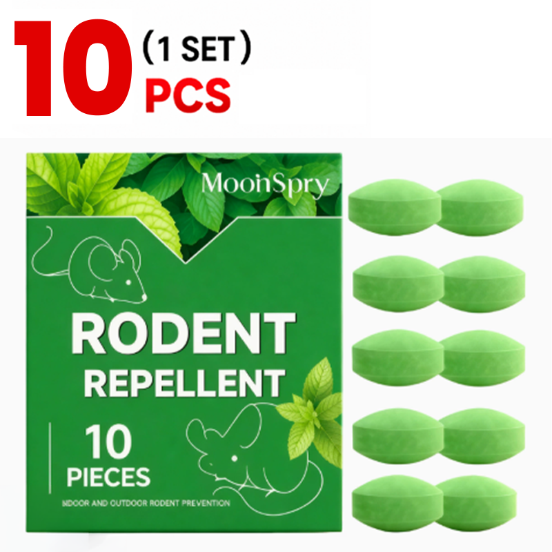 1 Box (10 PCS)