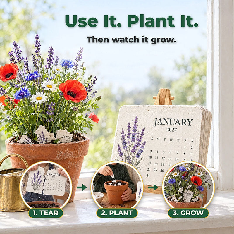 ✦2027 Plantable Seed Paper Calendar — Use It, Then Grow It