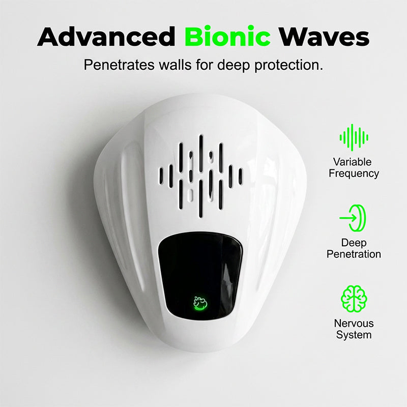 1 Pack -Basic Protection